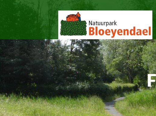 bloeyendael Schermafbeelding 2025-04-23 153612